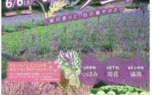20260606荒子川　ラベンダーフェア表のサムネイル